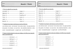 Féminin - Masculin - Ce1- Exercices  - PDF à imprimer