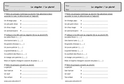 Singulier et pluriel dans le  groupe nominal - Ce1 - Exercices - PDF à imprimer