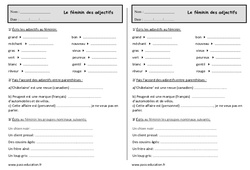 Le féminin des adjectifs - Ce1 - Exercices - Orthographe - PDF à imprimer