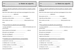 Féminin des adjectifs - Ce1 - Exercices  - PDF à imprimer