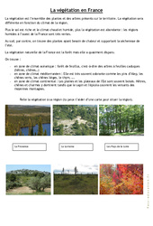 La végétation en France - Cm1 cm2 - Exercices - PDF à imprimer