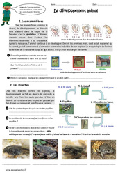 Développement animal - Cm1 - Cm2 - Exercices - PDF à imprimer