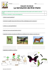 Reproduction des êtres vivants - Cm1 - Cm2 - Evaluation - PDF à imprimer