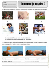 Comment je respire – Ce1 - Respiration – Exercices – Découverte du monde – Cycle 2 - PDF à imprimer