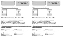-ail -eil -euil - ouil - Ce1 - Exercices - Orthographe - Cycle 2 - PDF à imprimer