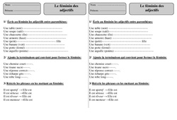 Féminin des adjectifs – Ce1 – Exercices 2 – Orthographe – Cycle 2