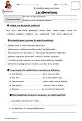 Adjectifs qualificatifs - Cm1 - Evaluation - Bilan - PDF à imprimer