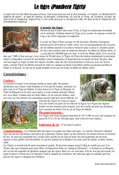 Les tigres - Cm1 - Cm2 – Documentaire – Lecture – Cycle 3