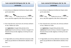 Caractéristiques de la vie animale – Cp – Trace écrite -– Découverte du monde – Leçon - Cycle 2 - PDF gratuit à imprimer