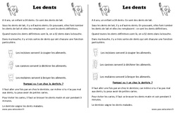 Dents – Cp – Trace écrite -– Découverte du monde – Leçon – Cycle 2