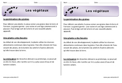 Végétaux – Cp – Trace écrite -– Découverte du monde – Leçon – Cycle 2  - PDF gratuit à imprimer