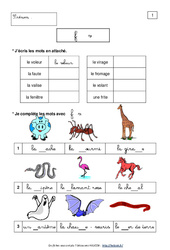 Exercice F - V - Confusion de sons - Lecture - Ce1 - Français - Cycle 2 - PDF à imprimer