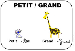 Petit - Grand – Affichages pour la classe – Maternelle – PS – MS – GS