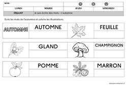 Automne - Ecriture - Maternelle - Petite section - Moyenne section - Cycle 1 - PDF à imprimer
