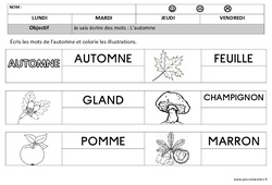 Exercice Ecriture MS Moyenne Section