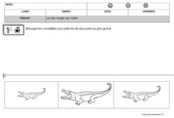 Classer par taille – Maternelle – Petite section - Grandeurs – Cycle 1 - PS - PDF à imprimer