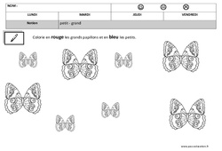 Petit - Grand – Maternelle – Petite section – Moyenne section – Grandeurs – Cycle 1 - PDF à imprimer