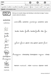 Automne - Lire des mots en cursive – Maternelle – Grande section – GS – Cycle 2