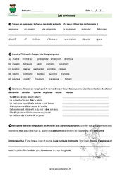 Synonymes - Cm2 - Exercices avec les corrections - PDF à imprimer