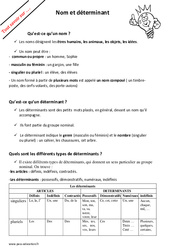 Qu’est-ce qu’un nom et un déterminant ?