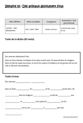 Verbes au futur - Le pluriel des noms en ou – Dictée préparée – A trous – Ce2  - PDF à imprimer