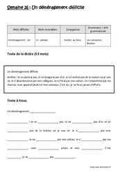 Verbes  au futur - Les consonnes doubles – Dictée préparée – A trous – Ce2 - PDF à imprimer