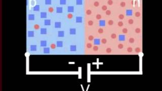 Courant électrique – Vidéos pédagogiques – 5ème – Physique – Chimie – Collège - Cycle 4
