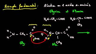 Atomes dans la réaction chimique – Vidéos pédagogiques – 4ème – Physique – Chimie – Collège  - Cycle 4