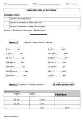 Aire - Périmètre – Cm1– Cm2 – Evaluation - PDF à imprimer