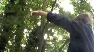 Caractéristiques de notre environnement – 6ème – Vidéos pédagogiques - SVT - Cycle 3