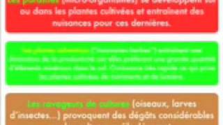 Production alimentaire par l’élevage ou la culture – 6ème – Vidéos pédagogiques – SVT  - Cycle 3