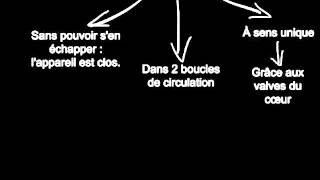 Rôle de la circulation sanguine dans le fonctionnement de l'organisme – 5ème – Vidéos pédagogiques – SVT  - Cycle 4