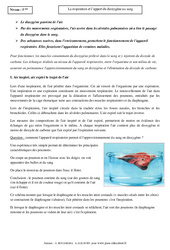 Respiration - Apport du dioxygène au sang – 5ème – Cours – SVT - PDF à imprimer
