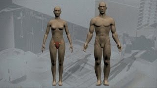 De la fécondation à la naissance – 4ème – Vidéos pédagogiques - SVT - Cycle 4