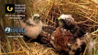 Reproduction sexuée – Conditions des milieux de vie – 4ème – Vidéos pédagogiques – SVT - Cycle 4