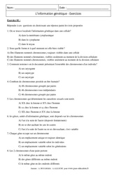 Information génétique – 3ème – Exercices corrigés - Remédiation – SVT - PDF à imprimer