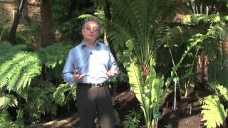 Evolution biologique et environnement – 3ème – Vidéos pédagogiques – SVT - Cycle 4