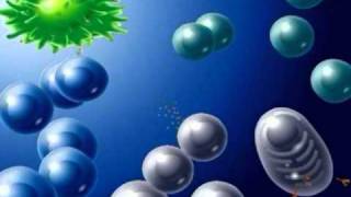 Vidéo Défense de l'organisme - Système immunitaire – 3ème – Vidéos pédagogiques – SVT - Cycle 4