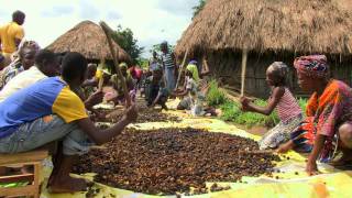 Habiter le monde rural  – 6ème – Vidéos pédagogiques - Géographie - Cycle 3