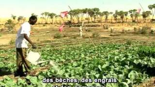 Vidéo Ressources alimentaires – 5ème – Vidéos pédagogiques - Géographie - Cycle 4
